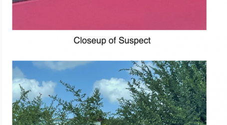 Photos Released in Shooting at 13000 North Freeway