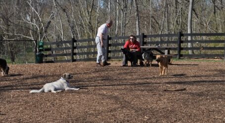 Olde Izaak Walton Dog Park to Undergo Maintenance Beginning