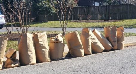 Yard Waste Collection to Resume on Monday, April 4
