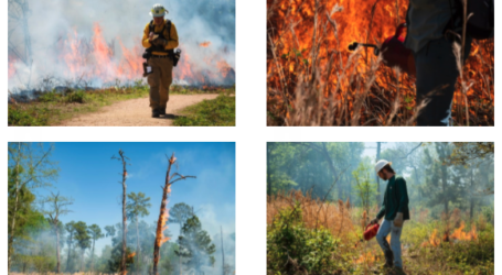 The Houston Fire Department (HFD) to conduct a prescribed burn of the Houston Arboretum