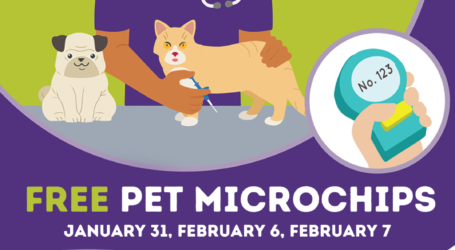 BARC Reminds Houstonians to Microchip Pets, Hosts Free Microchipping Events 