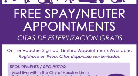 BARC Houston receives grant to support free spay neuter programs