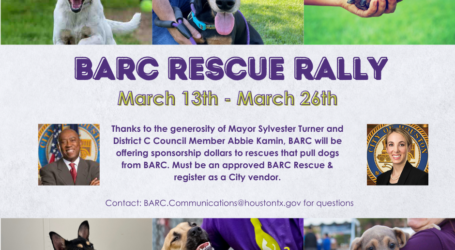 BARC Hosts Rescue Rally, Providing Financial Incentive to Rescue Groups