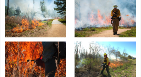 The Houston Fire Department to Conduct a Prescribed Burn of the Houston Arboretum