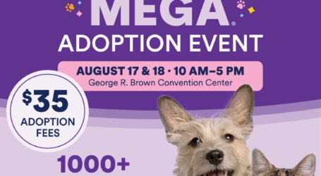 BARC Houston to Join 2024 Mega Adoption Event