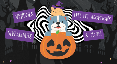 BARC Houston to Host Family Friendly “BARC-O-Ween” Adoption Event October 19 with Free Adoptions