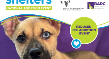 BARC Animal Shelter Joins BISSELL Pet Foundation to Offer Reduced Adoption Fees During Spring Empty The Shelters Event
