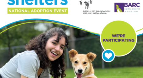 Help Empty the Shelters – Adopt at BARC