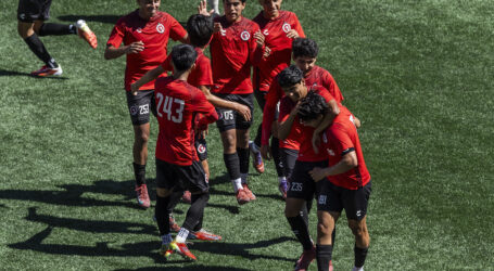 Mordida de los cachorros Sub-19